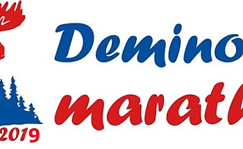 http://rikkir-sport.ru/blog/podgotovka-lyzh-dyeminskiy-marafon-2019/