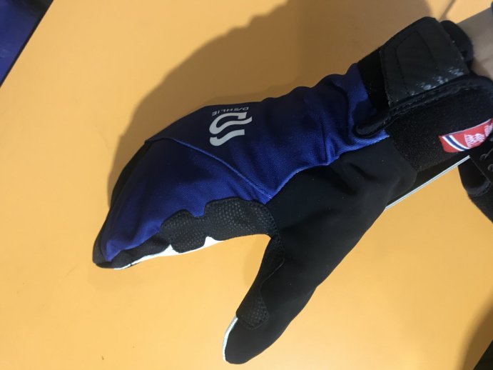 Варежки Bjorn Daehlie 2019-20 Mittens Symbol 2.0 Estate Blue 331018_25300