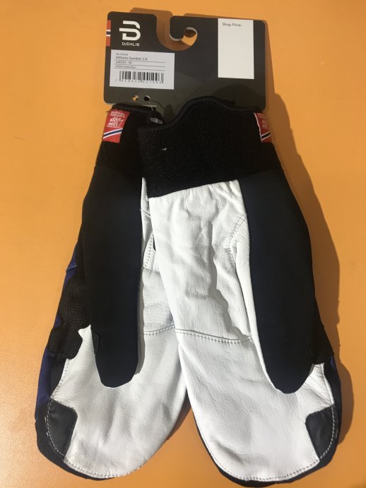 Варежки Bjorn Daehlie 2019-20 Mittens Symbol 2.0 Estate Blue 331018_25300