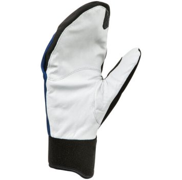 Варежки Bjorn Daehlie 2019-20 Mittens Symbol 2.0 Estate Blue 331018_25300