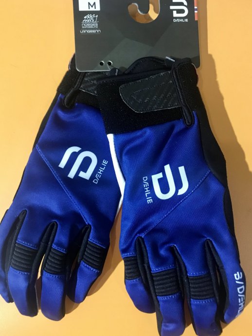 Перчатки беговые Bjorn Daehlie 2020-21 Symbol 3.0 Estate Blue 331017_25300