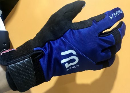 Перчатки беговые Bjorn Daehlie 2020-21 Symbol 3.0 Estate Blue 331017_25300