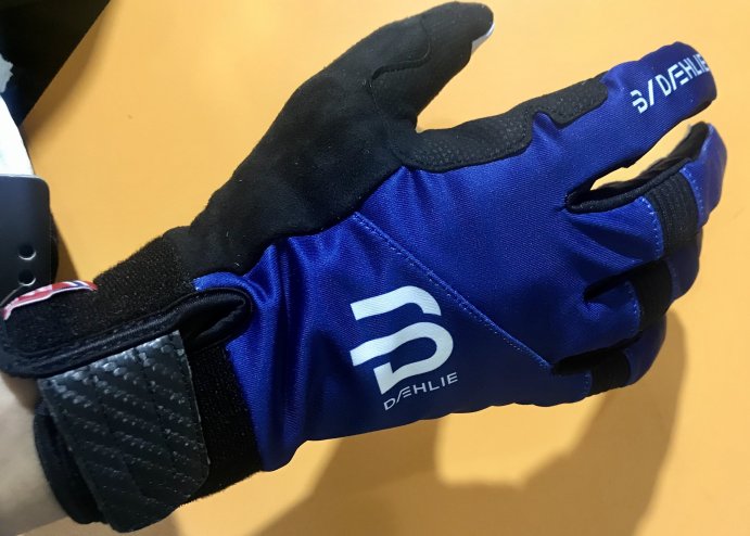 Перчатки беговые Bjorn Daehlie 2020-21 Symbol 3.0 Estate Blue 331017_25300