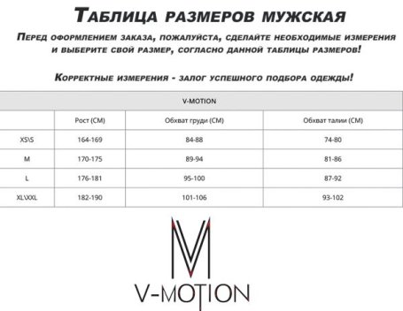 Термобелье V-MOTION F10 Мужской Серый