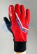 Перчатки SKI TIME Sport Red I23012 красный