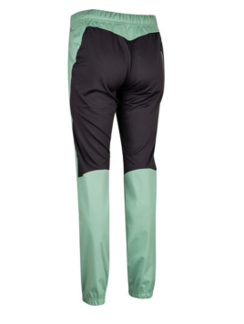 Брюки Bjorn Daehlie Pants Power Wmn Malachite Green 332958_53599