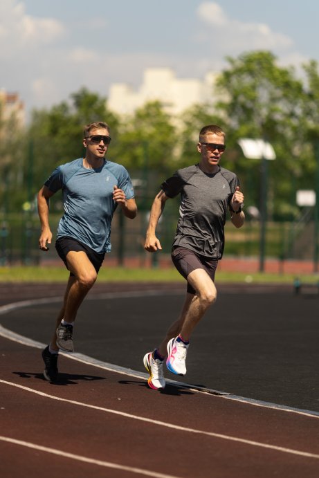 Футболка Bivium &quot;Горки&quot; муж. коричн.