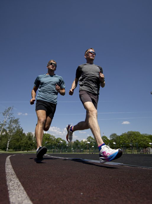 Футболка Bivium &quot;Горки&quot; муж. коричн.