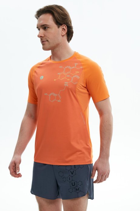Футболка Bivium Темп 3.0 муж. оранжевый в Нижнем Новгороде