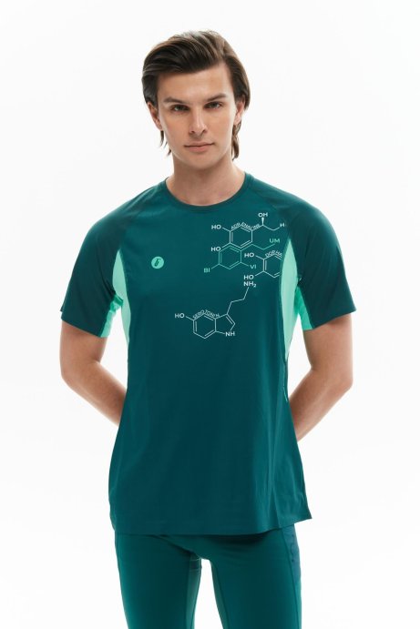 Футболка Bivium Темп 3.0 муж. сине-зеленый в Санкт-Петербурге