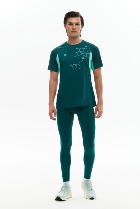 Футболка Bivium Темп 3.0 муж. сине-зеленый в Санкт-Петербурге