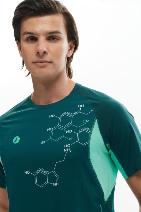 Футболка Bivium Темп 3.0 муж. сине-зеленый в Санкт-Петербурге