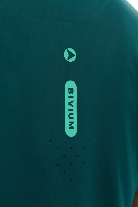 Футболка Bivium Темп 3.0 муж. сине-зеленый в Санкт-Петербурге