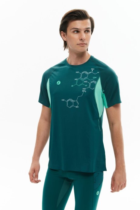 Футболка Bivium Темп 3.0 муж. сине-зеленый в Санкт-Петербурге