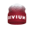Шапка Bivium "Энергия 2.0" бордовый_белый M (56)