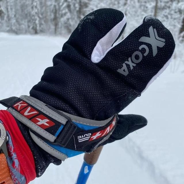 Лобстеры COXA чёрно/белые 631 в Твери