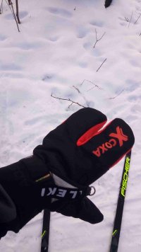 дизайн что надо!