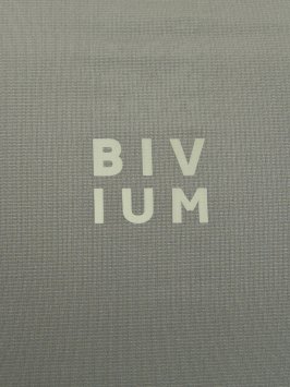 Лонгслив Bivium "Путь" муж. зелен.