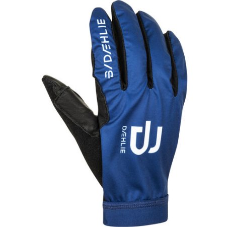 Перчатки беговые Bjorn Daehlie 2020-21 Revolution Estate Blue 332491_25300