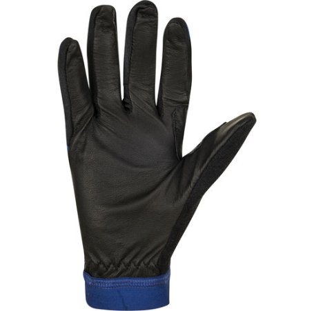 Перчатки беговые Bjorn Daehlie 2020-21 Revolution Estate Blue 332491_25300