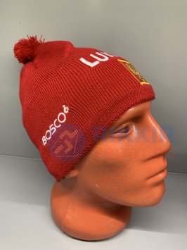 Шапка теплая РОССИЯ герб бордовая