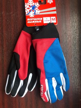 ПЕРЧАТКИ SKI TEAM K19001WBR