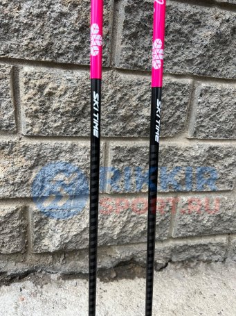 ЛЫЖНЫЕ ПАЛКИ SKI TIME RACE 1.0 Fast Clip (тип Triac) Pink