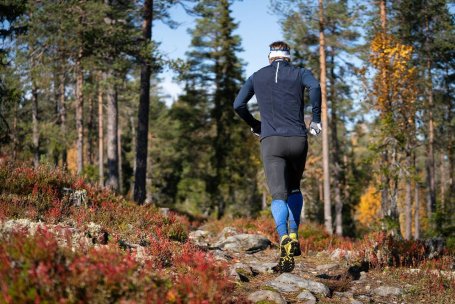 Тайтсы SWIX Focus муж.черный 22293 /10000