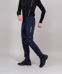 Брюки Nordski Premium Blueberry NSM305021