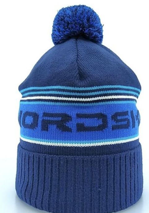 Шапка Nordski Stripe Dark Blue NSV470832 в Твери