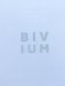 Лонгслив Bivium &quot;Путь&quot; муж. голуб.