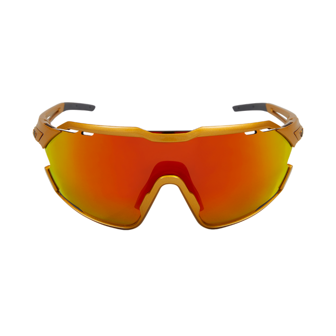 Очки Northug Gold Performance Gold PN05031-902 -1 (Standard) в Твери