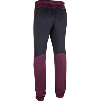 Брюки беговые Bjorn Daehlie 2020-21 Power for men Fig 332957_29007