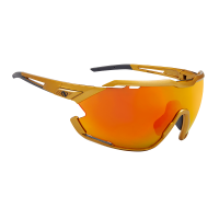 Очки Northug Gold Performance Gold  PN05031-902 -2