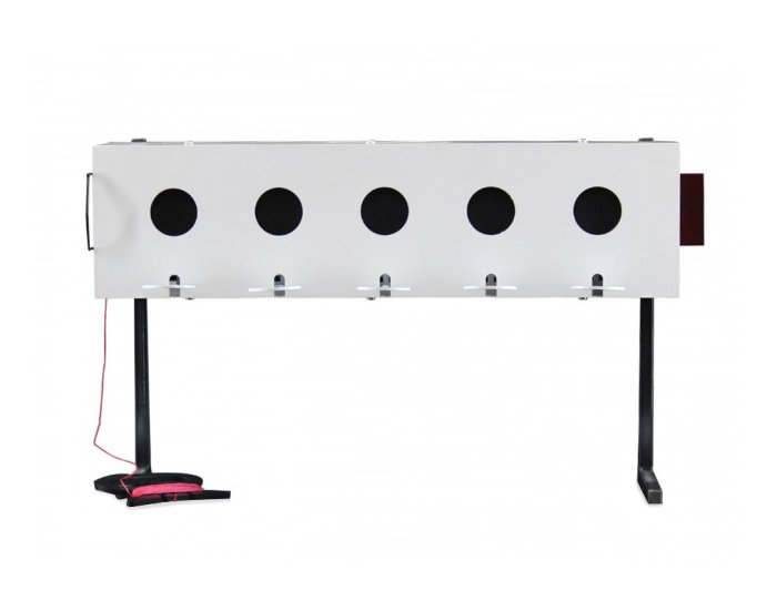 Мишень биатлонная для пневматики 50*30мм в Санкт-Петербурге