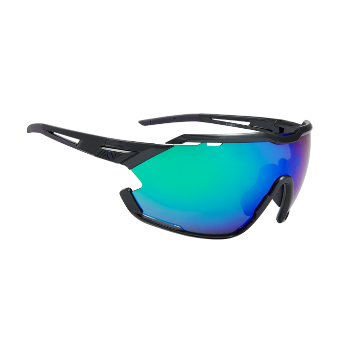 Очки Northug Gold Performance Black PN05031-400 -1 (Standard) в Твери