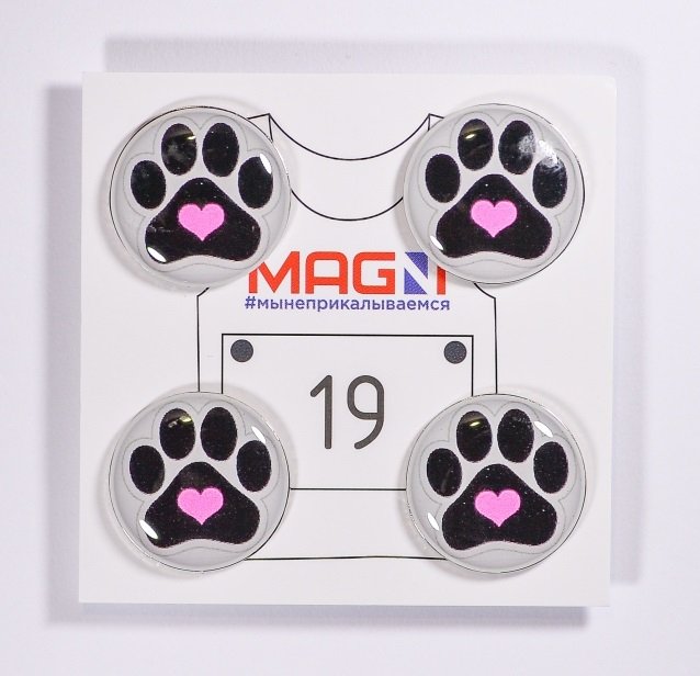 Магнитные держатели для номера "Кошачья лапка" в Твери