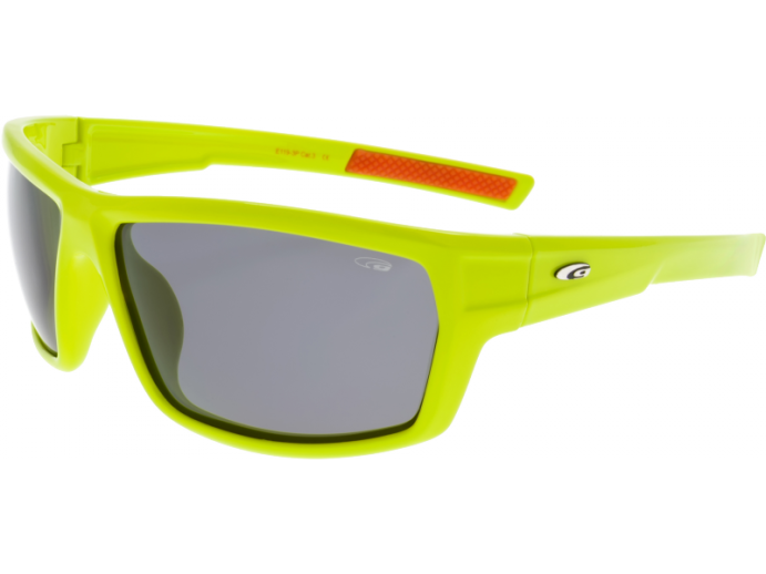 Очки Goggle E119-3P