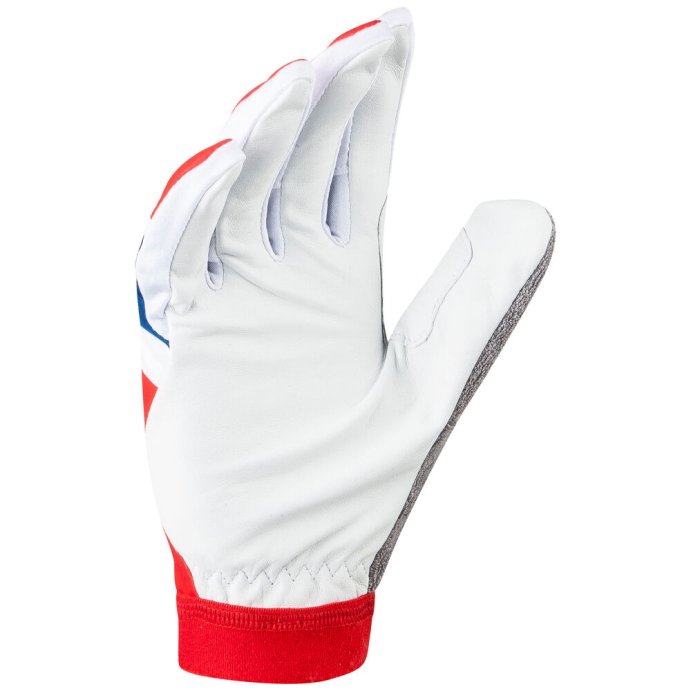 Перчатки беговые Bjorn Daehlie 2019-20 Glove Revolution Norwegain Flag 332491_35400 в Санкт-Петербурге