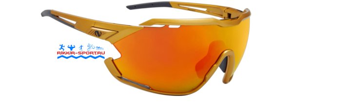 Очки Northug Gold Performance Gold PN05011SP-400 (Narrow) в Твери