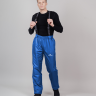 Утепленные брюки Nordski Active True Blue NSM954797 (S)