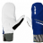 Рукавицы Lillsport Celcius Race Mitt Royal Blue 0413/04