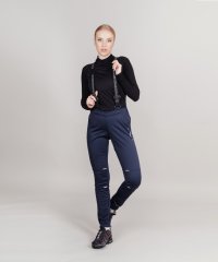 Брюки Nordski Premium Blueberry W NSW442021