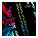 Лыжные палки 4KAAD BLACKCODE X HOLOGRAM ULTIMATE 2
