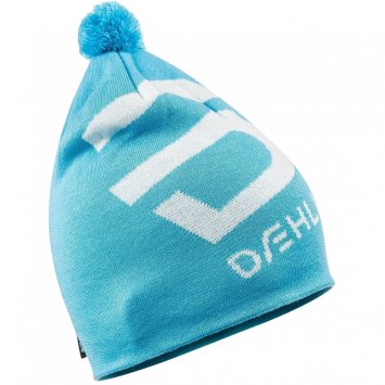Шапка Bjorn Daehlie 2020-21 Big Aquarius 331012_24700