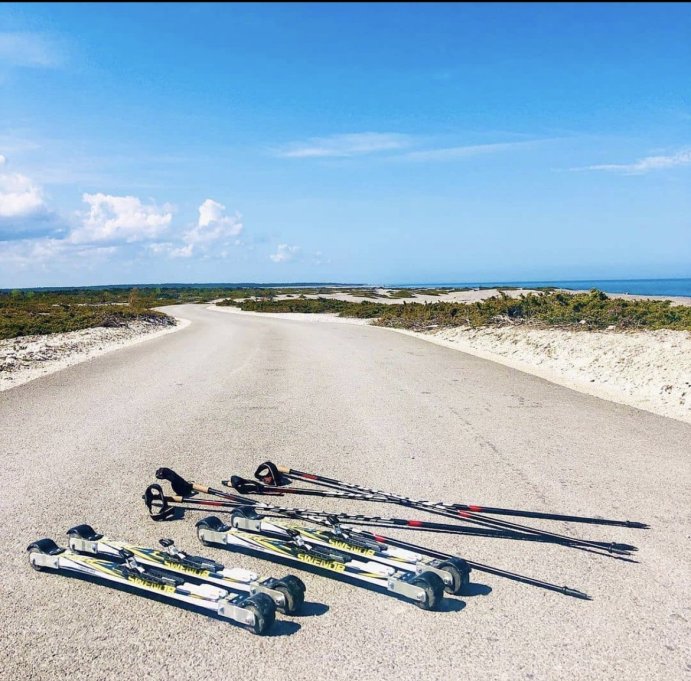 Лыжероллеры SWENOR 060-000-4 для классического хода, модель Fibreglass Cap (4)