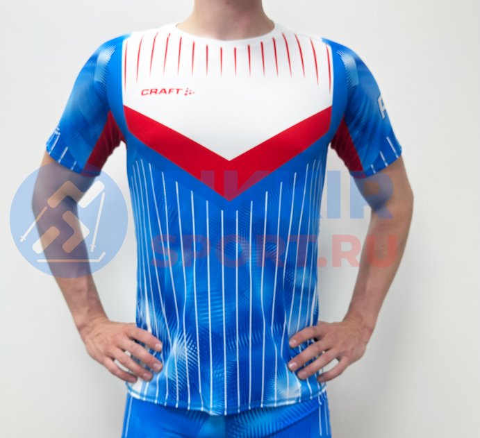 Футболка ШВЕЦИЯ 2024 голуб.-бел.