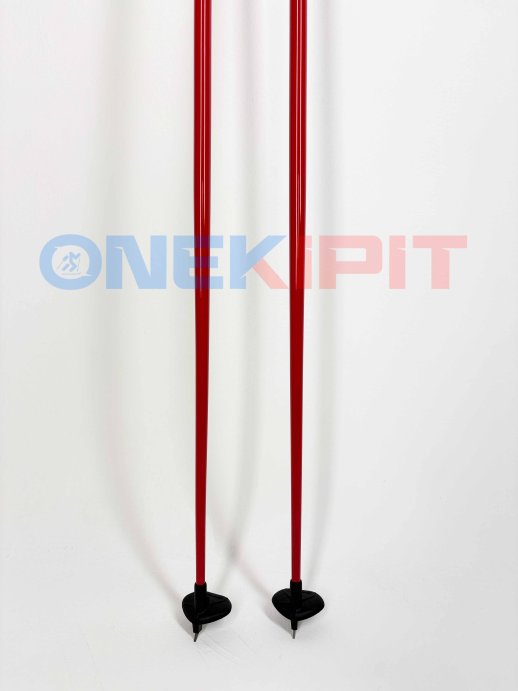 Лыжный палки SKI TIME ZAVIALOV 2.0