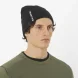 Шапка SALOMON GRAPHIC BEANIE LC2708700 в Новосибирске