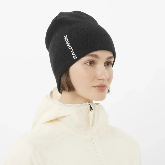 Шапка SALOMON GRAPHIC BEANIE LC2708700 в Новосибирске